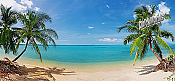 Coconut Beach Panoramic Peel And Stick Wall Mural