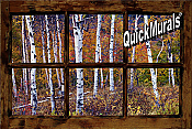 Birch Forest Window Peel & Stick (1 piece) Wall Mural
