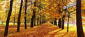 Autumn Park Panoramic Peel And Stick Wall Mural