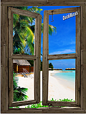 Beach Cabin Window Mural #9