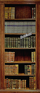 Bookcase One-Piece Peel & Stick Wall Mural 