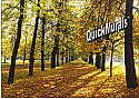 autumn park wall mural peel and stick canvas