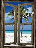 rustic beach cabin tropical peel and stick canvas wall mural