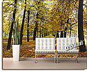 autumn park wall mural peel and stick canvas roomsetting