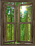 Country Cabin Window Peel & Stick Wall Mural