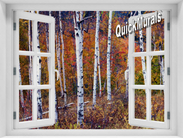 Autumn Birches Window 1-Piece Peel & Stick Mural