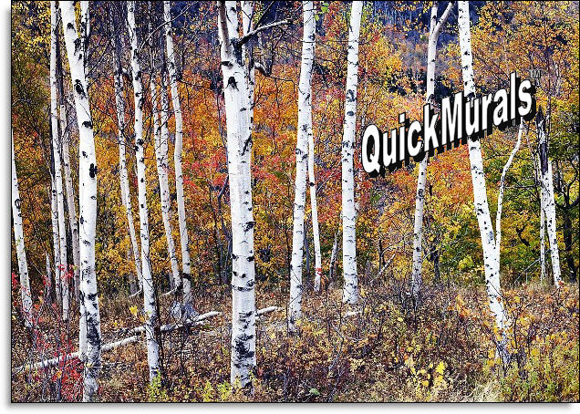 Birch Forest Peel and Stick Wall Mural